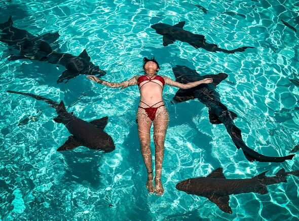 A woman in a red bikini floats on her back in clear blue water surrounded by several nurse sharks.